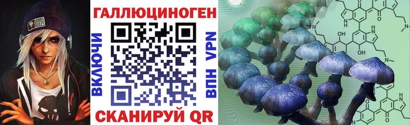 Купить закладки  Вышний Волочёк  Псилоцибиновые грибы прущие грибы 